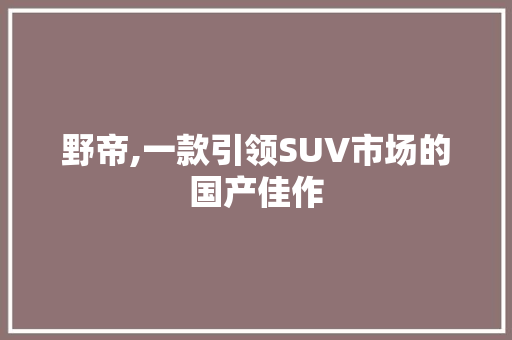 野帝,一款引领SUV市场的国产佳作