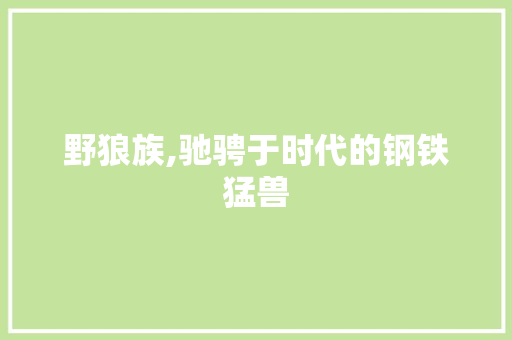野狼族,驰骋于时代的钢铁猛兽