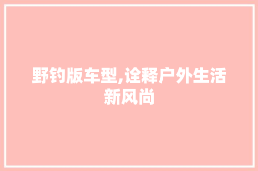 野钓版车型,诠释户外生活新风尚