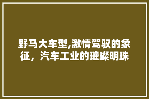野马大车型,激情驾驭的象征，汽车工业的璀璨明珠