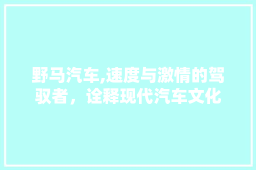 野马汽车,速度与激情的驾驭者，诠释现代汽车文化