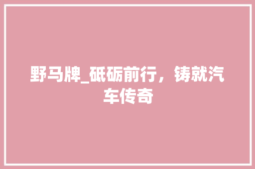 野马牌_砥砺前行，铸就汽车传奇