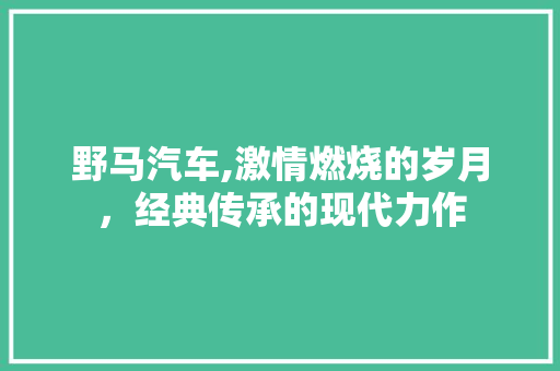 野马汽车,激情燃烧的岁月，经典传承的现代力作