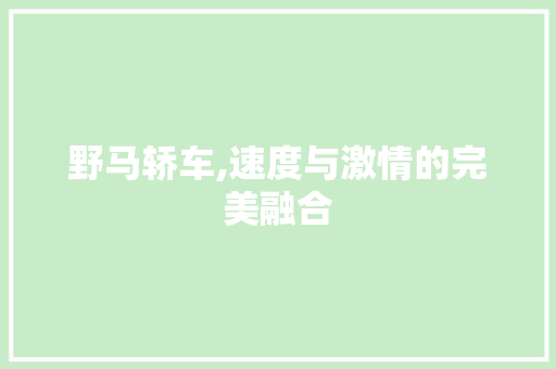 野马轿车,速度与激情的完美融合