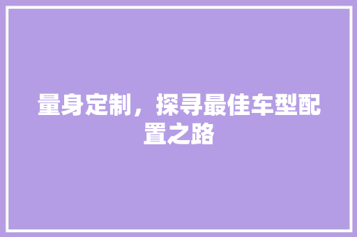 量身定制，探寻最佳车型配置之路