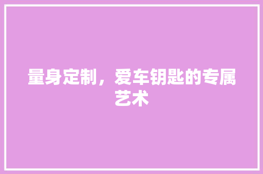 量身定制，爱车钥匙的专属艺术