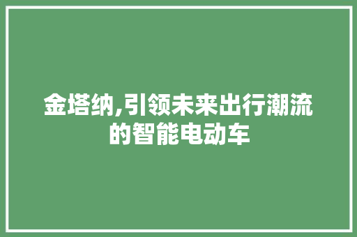 金塔纳,引领未来出行潮流的智能电动车 新款车型