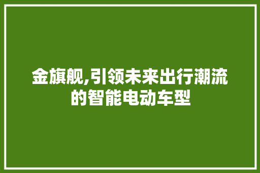金旗舰,引领未来出行潮流的智能电动车型