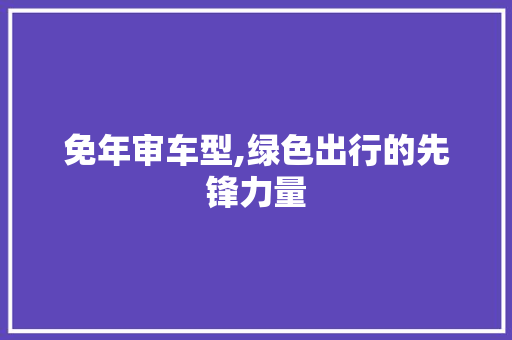 免年审车型,绿色出行的先锋力量
