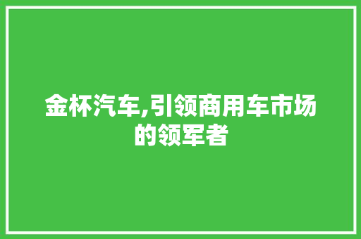 金杯汽车,引领商用车市场的领军者