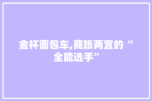金杯面包车,商旅两宜的“全能选手”