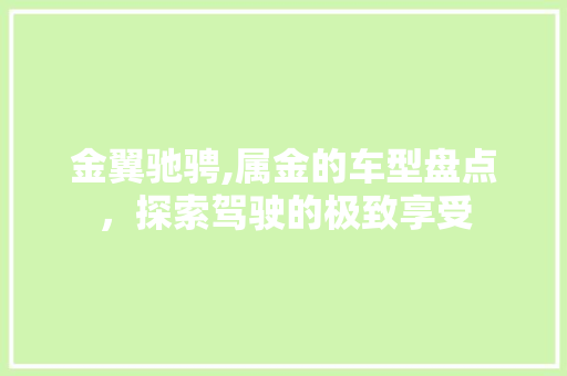 金翼驰骋,属金的车型盘点，探索驾驶的极致享受