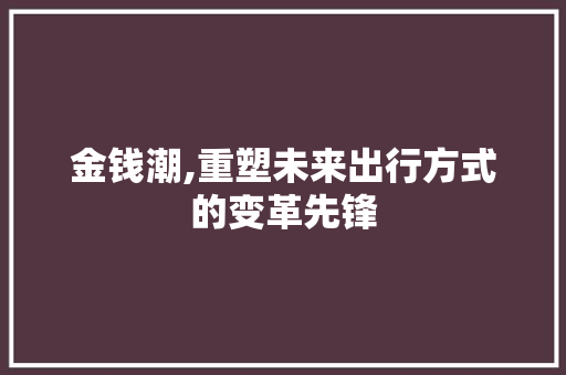 金钱潮,重塑未来出行方式的变革先锋