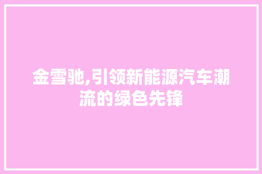 金雪驰,引领新能源汽车潮流的绿色先锋 车身配件