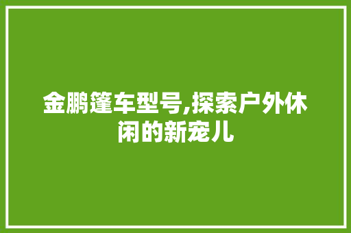金鹏篷车型号,探索户外休闲的新宠儿