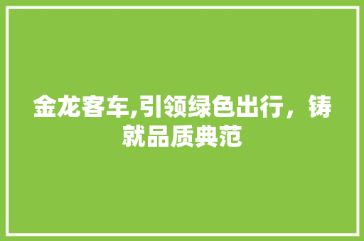 金龙客车,引领绿色出行，铸就品质典范