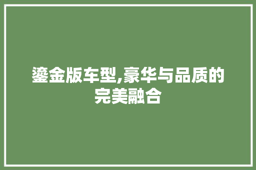 鎏金版车型,豪华与品质的完美融合