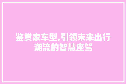 鉴赏家车型,引领未来出行潮流的智慧座驾