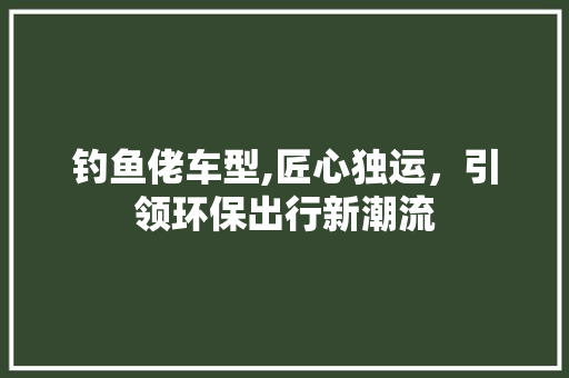 钓鱼佬车型,匠心独运，引领环保出行新潮流