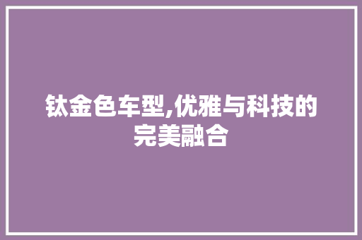 钛金色车型,优雅与科技的完美融合