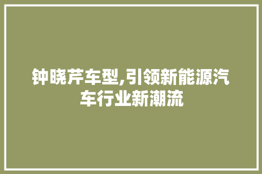 钟晓芹车型,引领新能源汽车行业新潮流