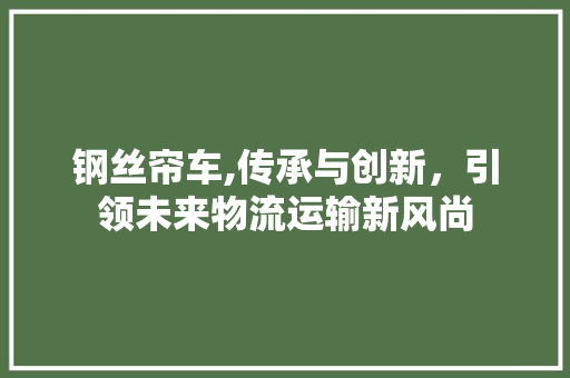 钢丝帘车,传承与创新，引领未来物流运输新风尚