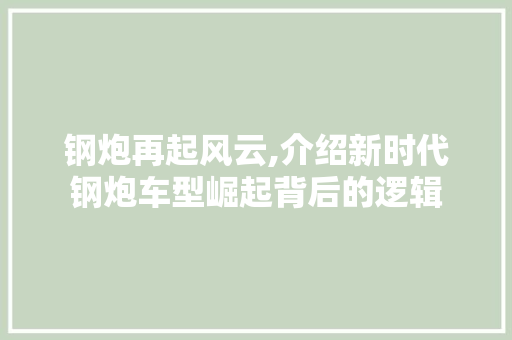 钢炮再起风云,介绍新时代钢炮车型崛起背后的逻辑