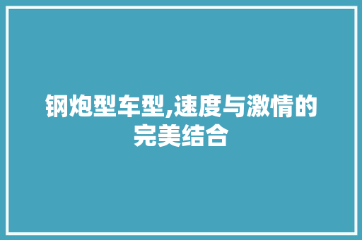 钢炮型车型,速度与激情的完美结合