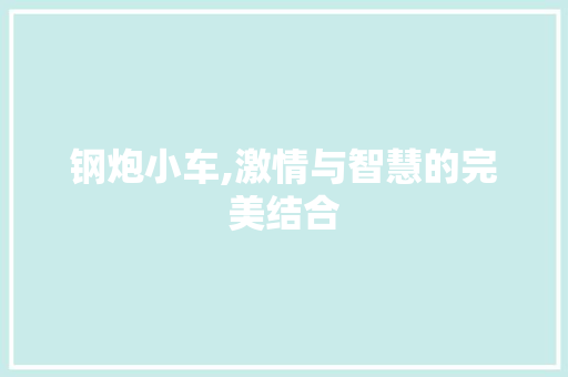 钢炮小车,激情与智慧的完美结合