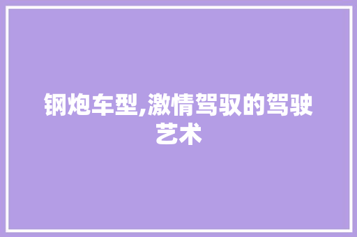 钢炮车型,激情驾驭的驾驶艺术