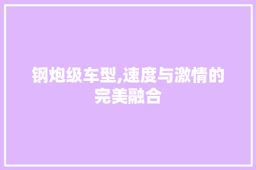 钢炮级车型,速度与激情的完美融合