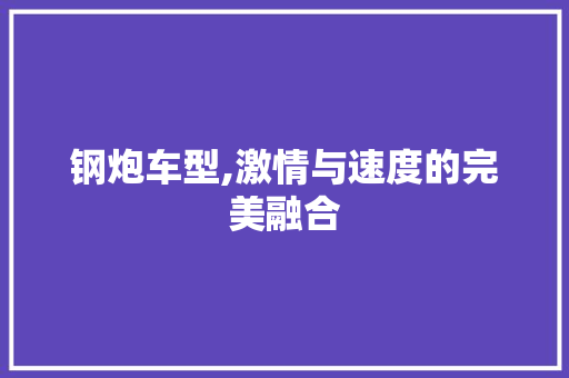钢炮车型,激情与速度的完美融合
