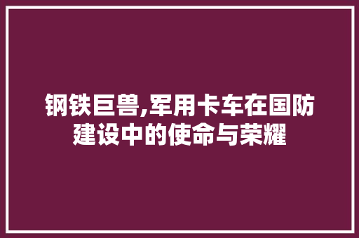 钢铁巨兽,军用卡车在国防建设中的使命与荣耀