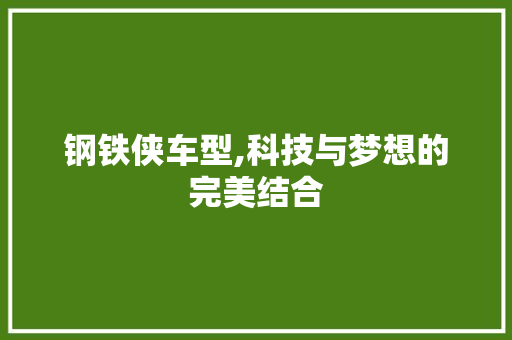 钢铁侠车型,科技与梦想的完美结合