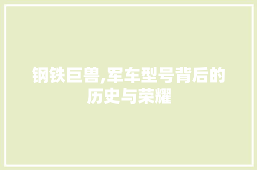 钢铁巨兽,军车型号背后的历史与荣耀