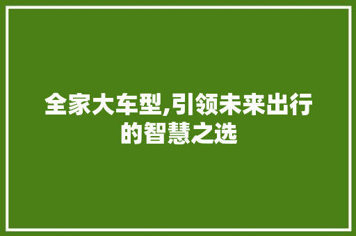 全家大车型,引领未来出行的智慧之选