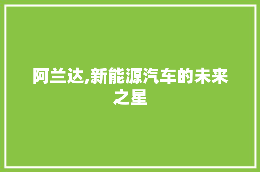 阿兰达,新能源汽车的未来之星