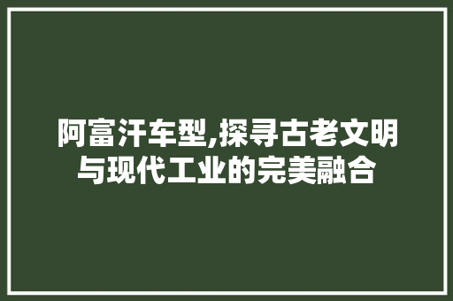 阿富汗车型,探寻古老文明与现代工业的完美融合