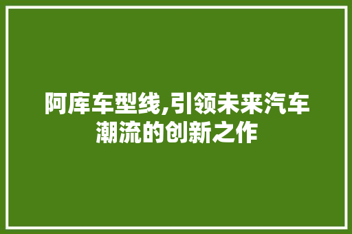 阿库车型线,引领未来汽车潮流的创新之作