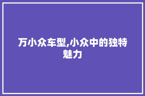 万小众车型,小众中的独特魅力