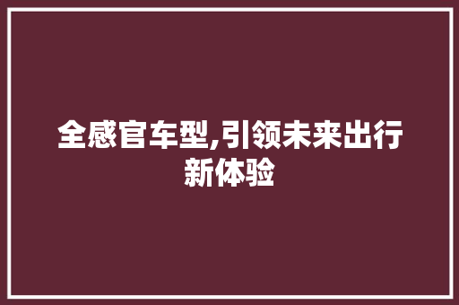 全感官车型,引领未来出行新体验