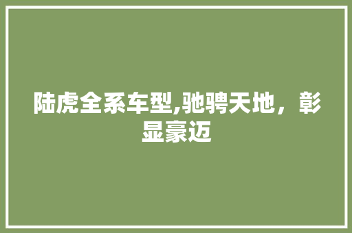 陆虎全系车型,驰骋天地，彰显豪迈