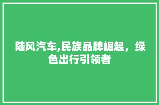 陆风汽车,民族品牌崛起，绿色出行引领者