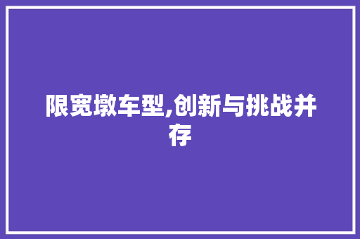 限宽墩车型,创新与挑战并存