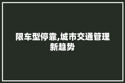 限车型停靠,城市交通管理新趋势