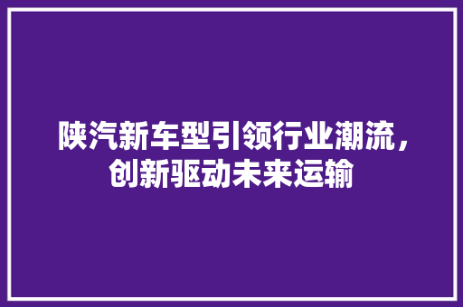 陕汽新车型引领行业潮流，创新驱动未来运输