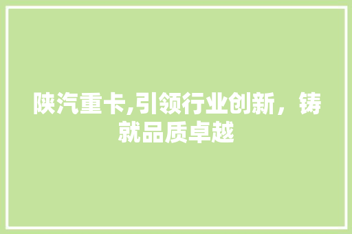 陕汽重卡,引领行业创新，铸就品质卓越