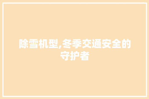 除雪机型,冬季交通安全的守护者