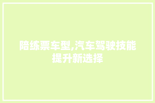 陪练票车型,汽车驾驶技能提升新选择