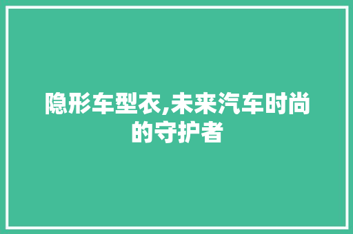 隐形车型衣,未来汽车时尚的守护者